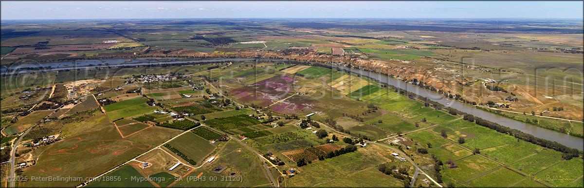 Peter Bellingham Photography Mypolonga - SA (PBH3 00 31120)